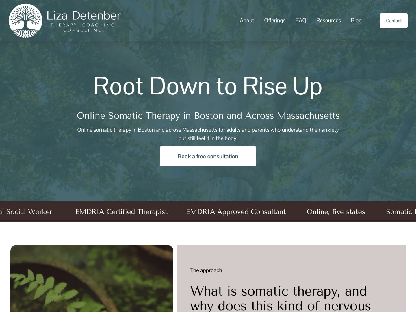 Liza Detenber homepage